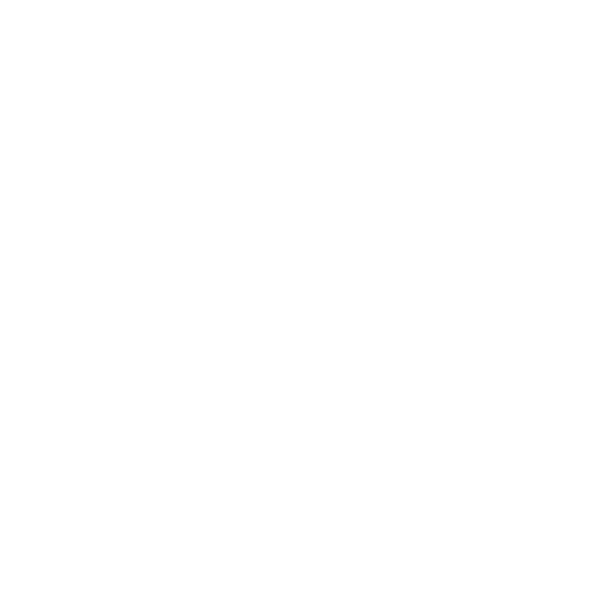 Flying Dutchmen Travel Global Expertise