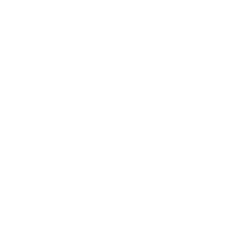 Flying Dutchmen Travel Women Owned Business