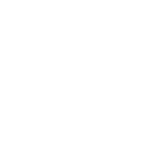 Flying Dutchmen Travel - Group Travel